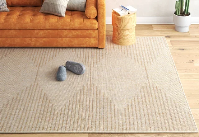 Our Favorite 8' x 10' Area Rugs
