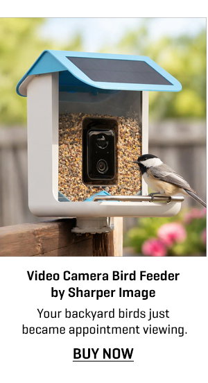 Video Camera Bird Feeder by Sharper Image