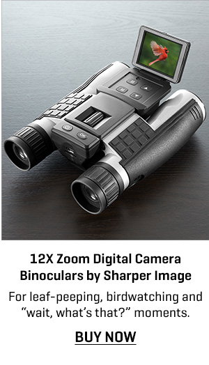 12X Zoom Digital Camera Binoculars by Sharper Image