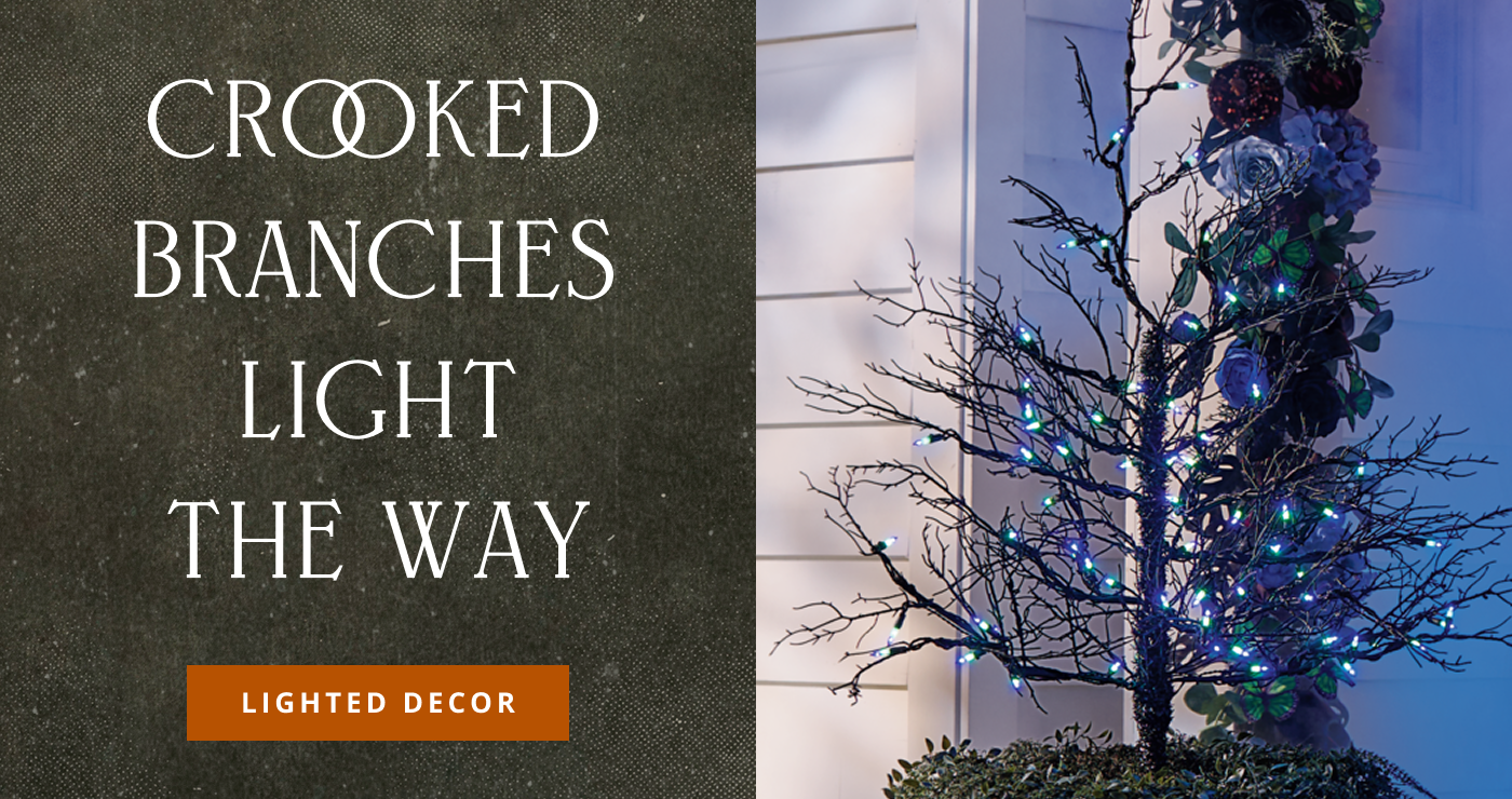 Lighted Decor