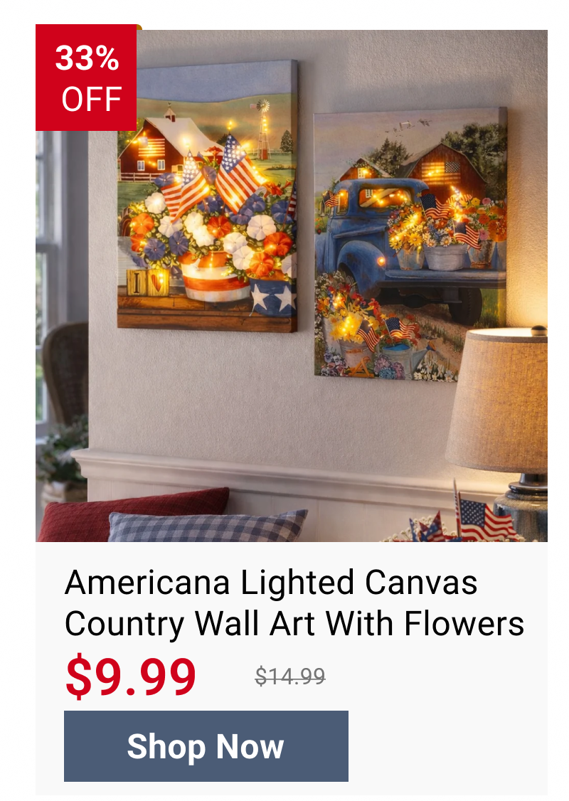Americana Lighted Canvas