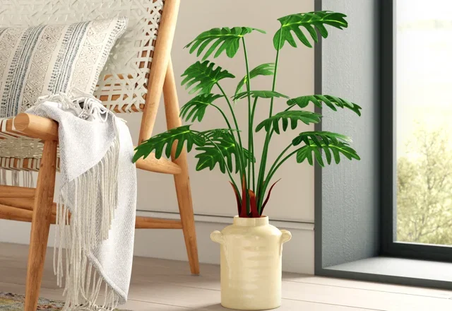 Our Best Faux Plants