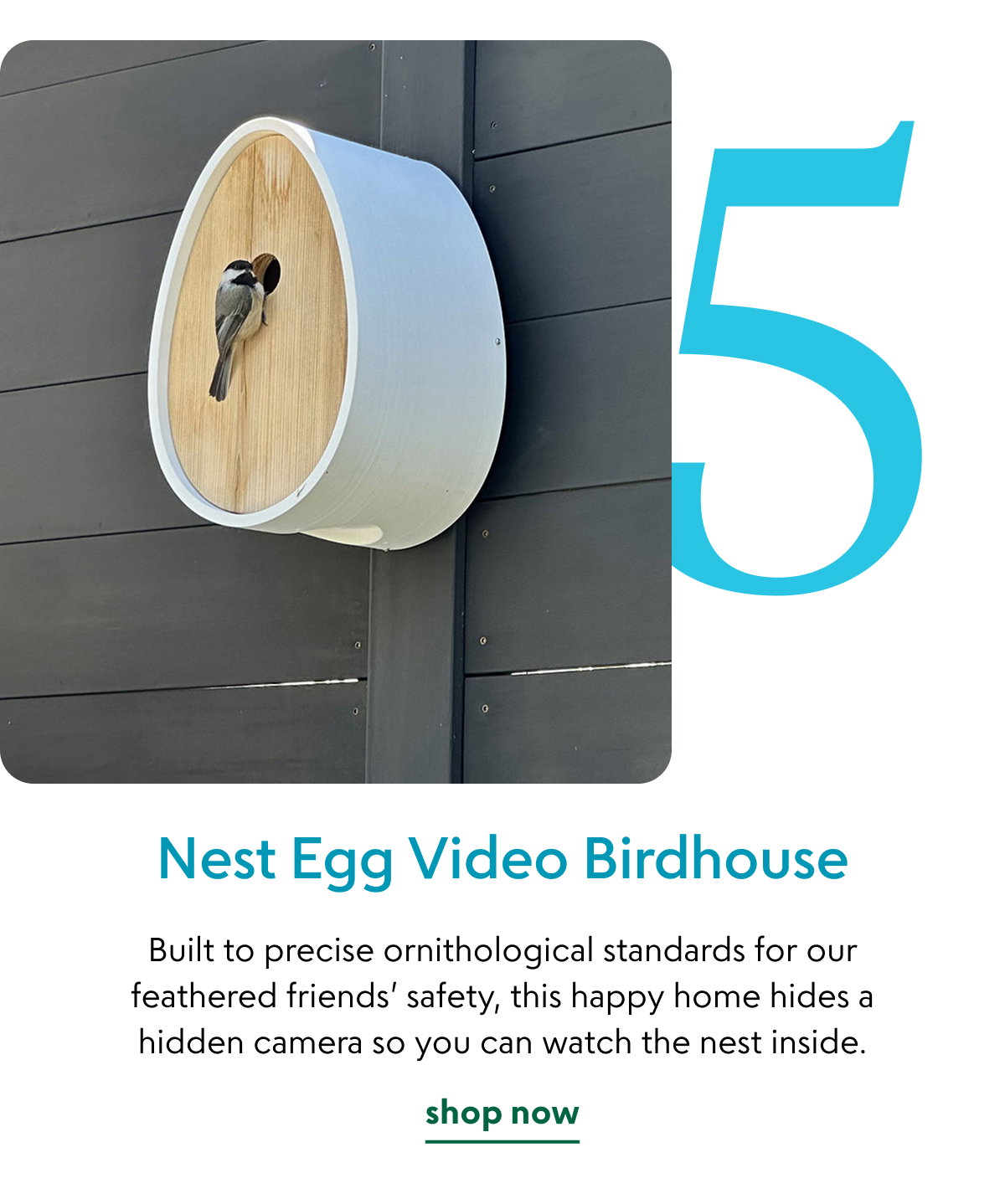 nest-egg-video-birdhouse