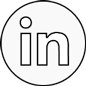 LinkedIn social icon