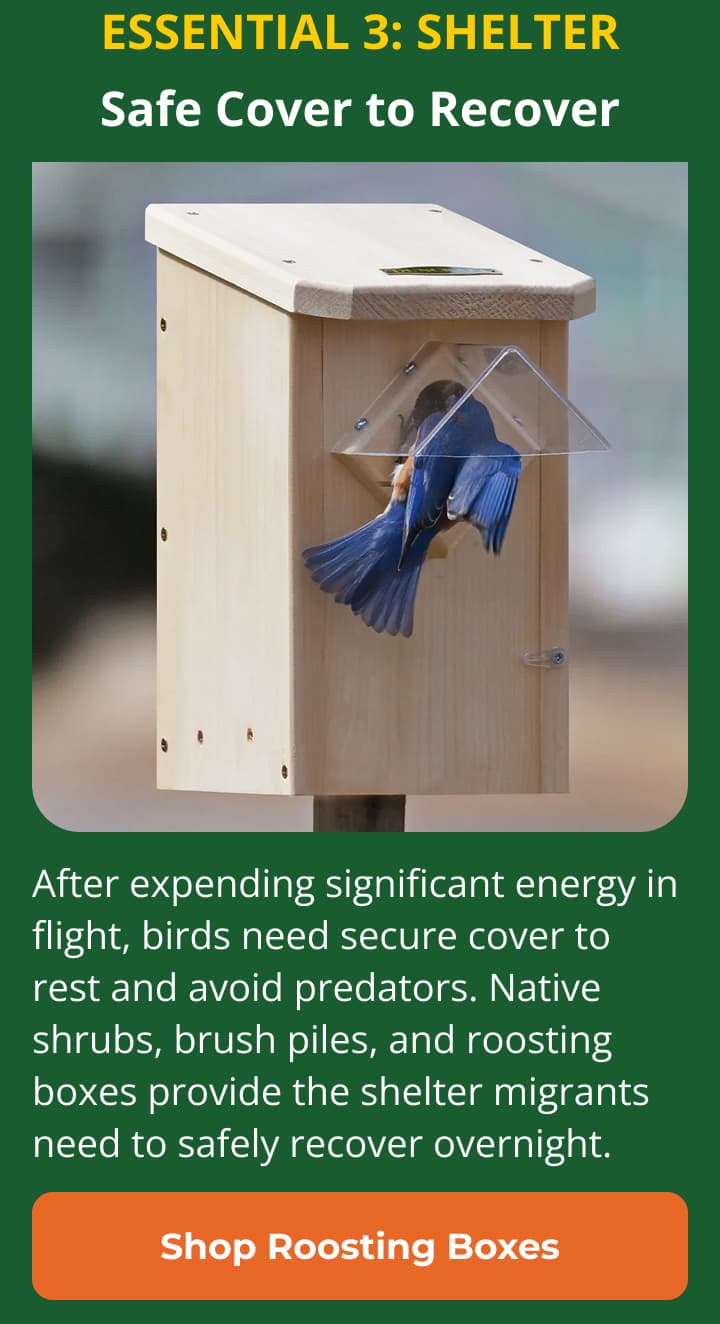 Essential 3: Shelter Safe Cover to Recover