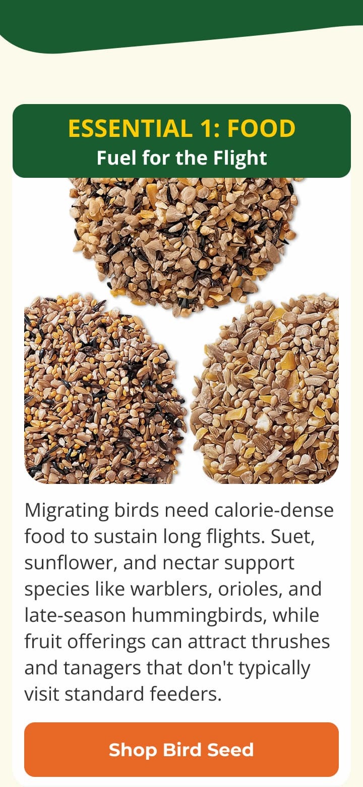 Essential 1: Food Fuel for the Flight
