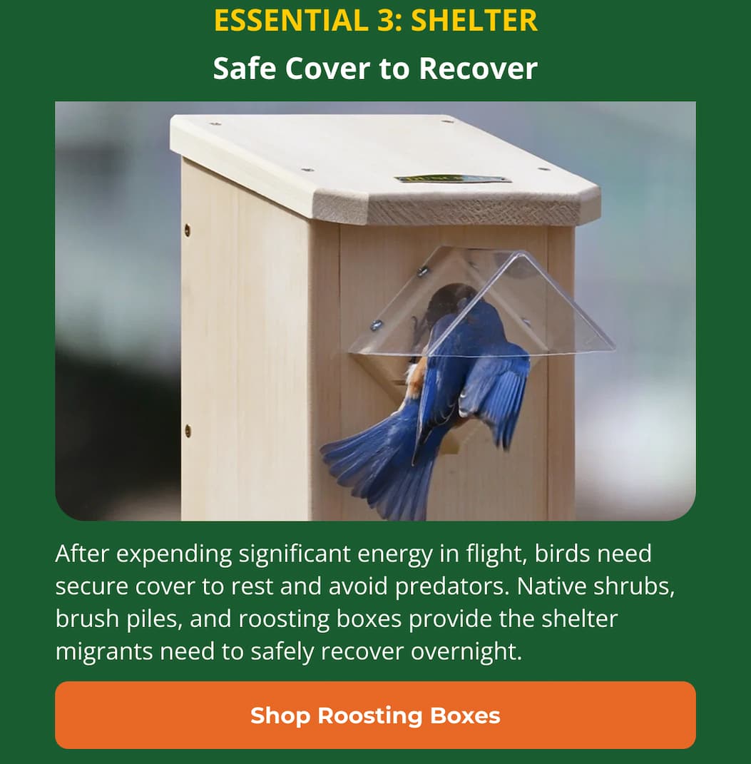 Essential 3: Shelter Safe Cover to Recover