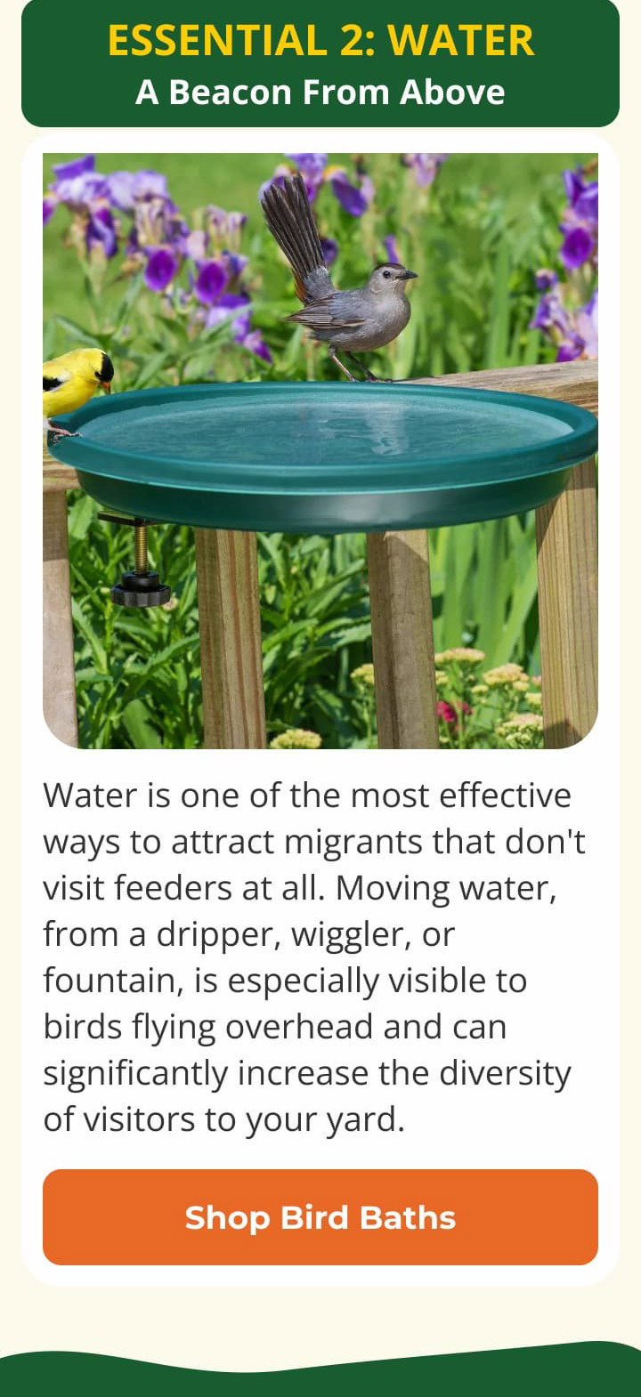 Essential 2: Water A Beacon From Above