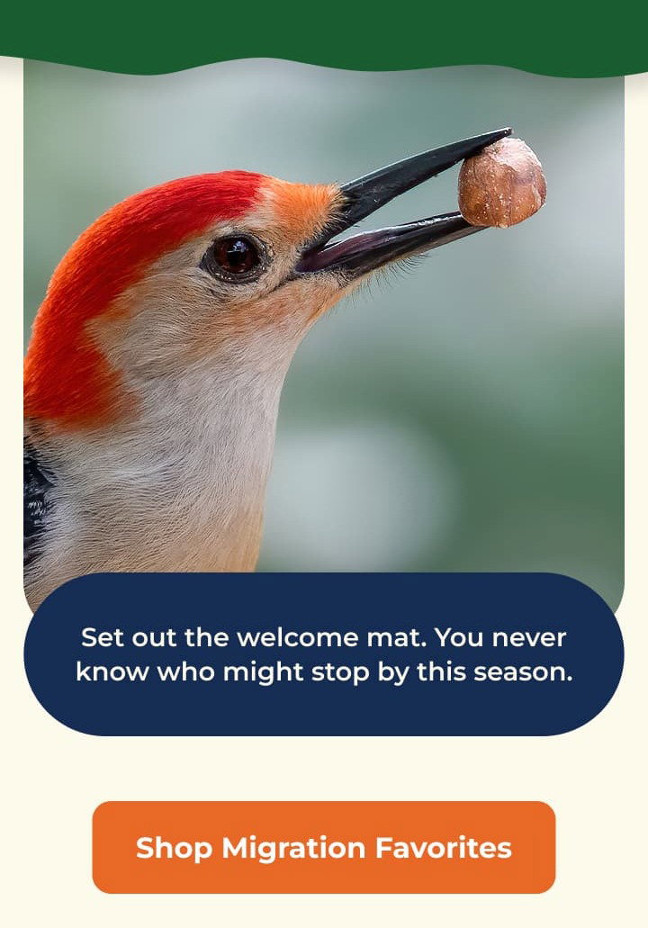 Set out the welcome mat. You never know who might stop by this season.
