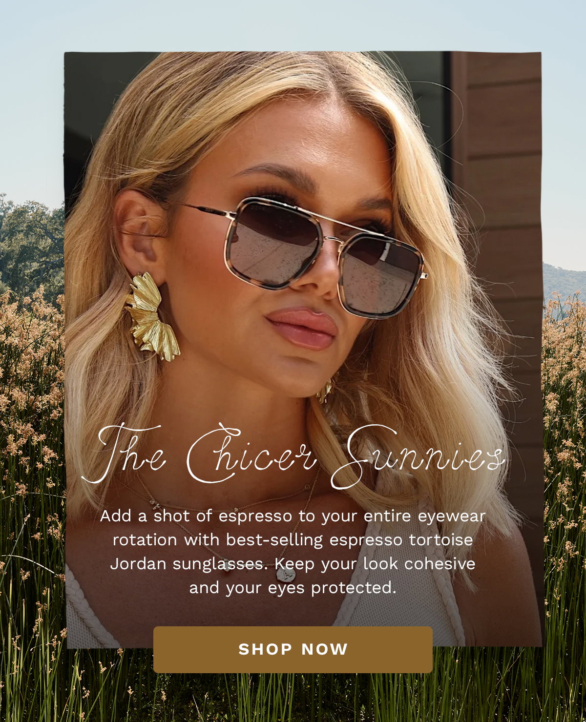 Shop Espresso Tortoise Glasses