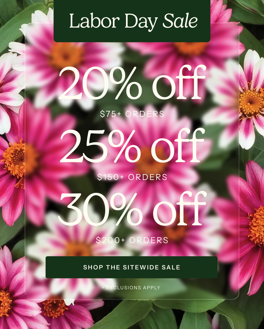 Labor Day Sale - 20% off $75+, 25% off $150+, 30% off $200+