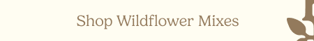 Shop Wildflower Mixes