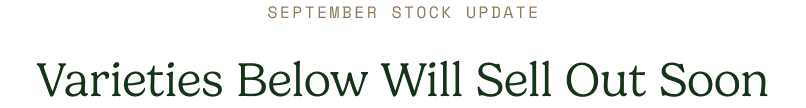 September Stock Update - Varieties Below Will Sell Out Soon