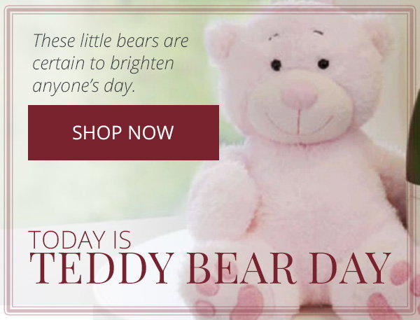 Teddy Bear Gifts| Shop Now