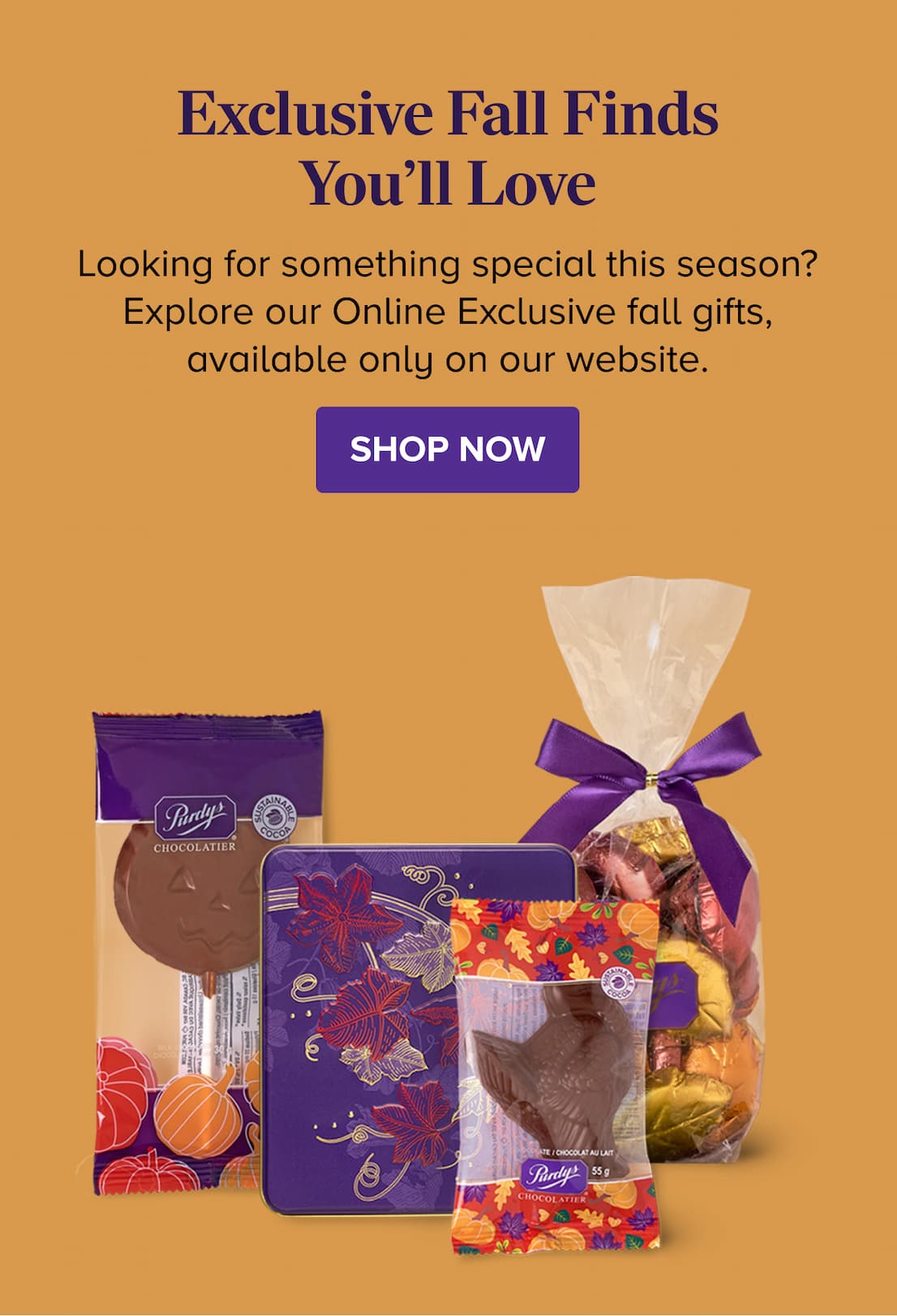Exclusive Fall Finds You'll Love SHOP NOW