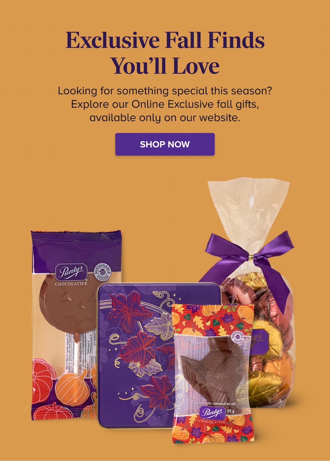 Exclusive Fall Finds You'll Love SHOP NOW