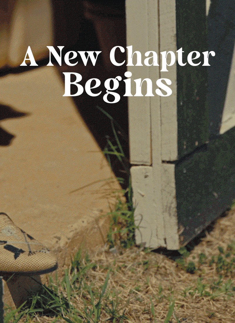 A New Chapter Begins