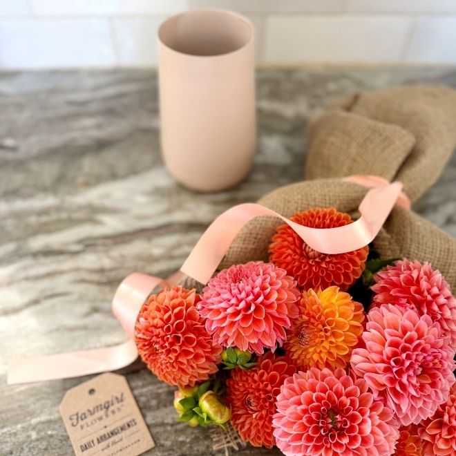 Coral and peach ball dahlias wrapped in burlap with a ceramic vase