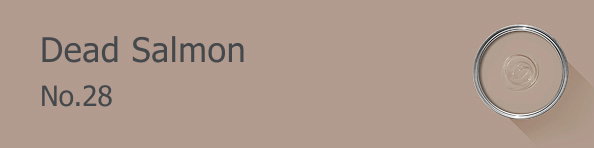 Rectangle banner of Dead Salmon