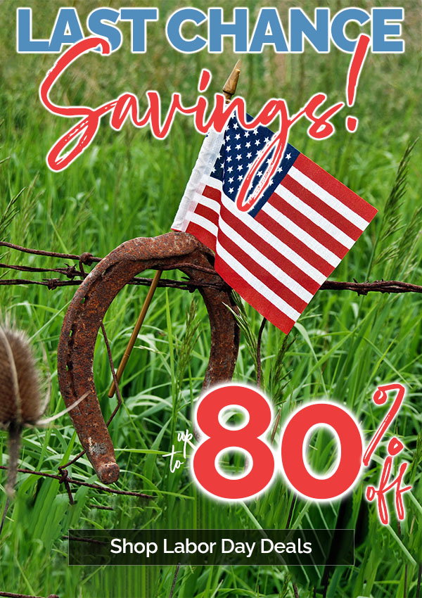 Last Chance Labor Day Savings! Shop Now & Save up to 80% Off