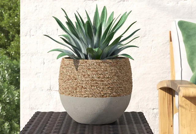 Best-Selling Planters