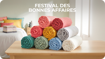 FESTIVAL DES BONNES AFFAIRES