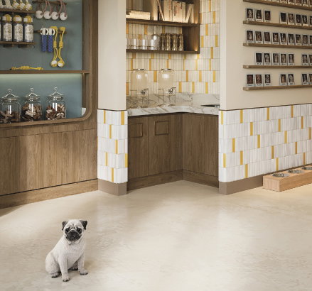 Kennels