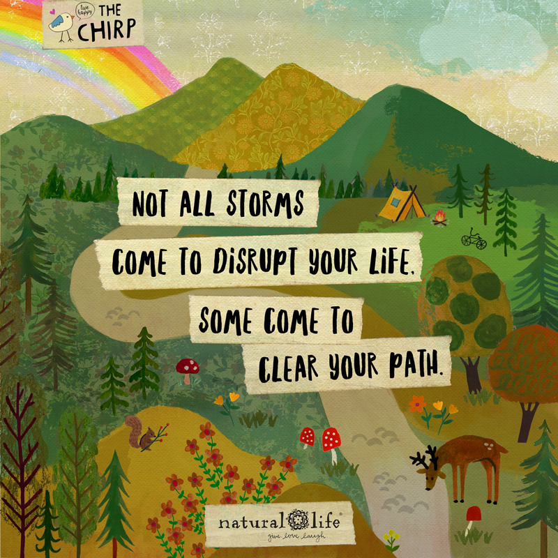 chirp_homepage