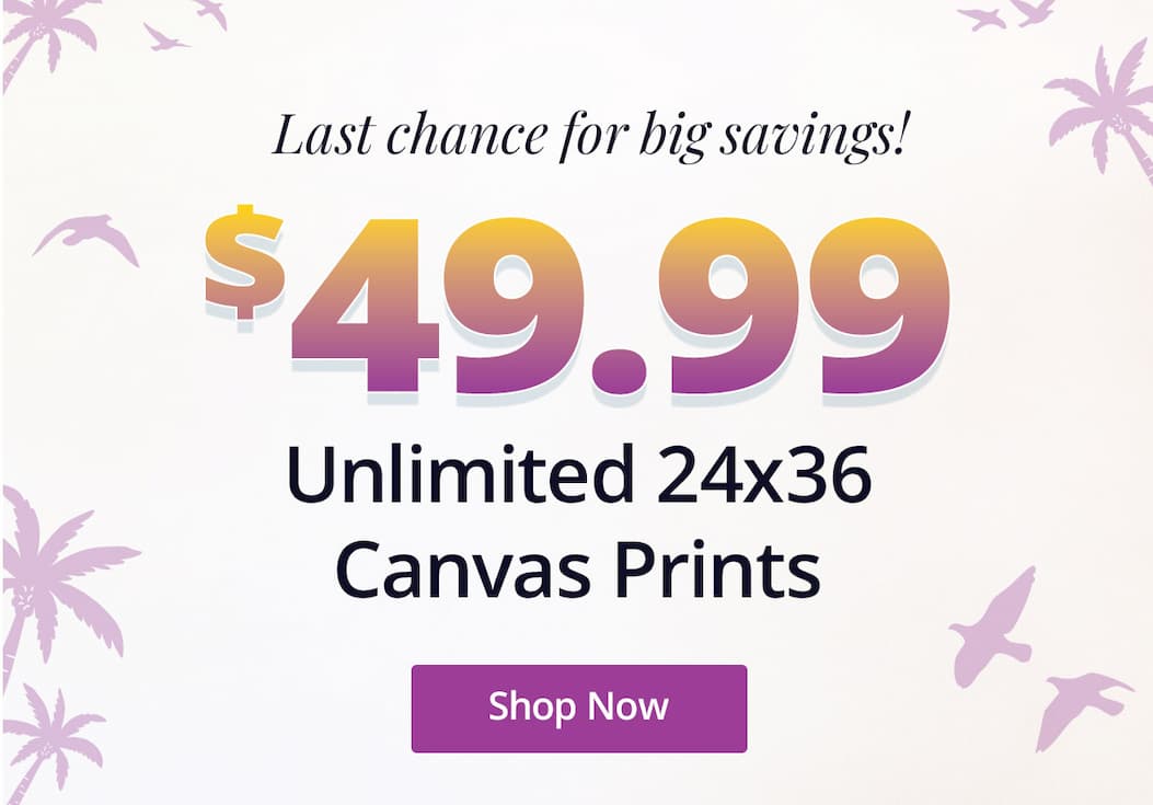 Last chance for big savings! Unlimited 24x36 Canvas Prints for $49.99 each! Shop Now