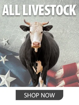 SHOP LIVESTOCK