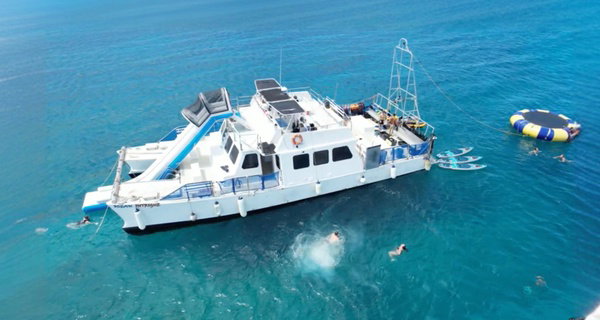 Honolulu Snorkeling Tour Deals - 3 Hour Turtle Adventure with Gear Included!