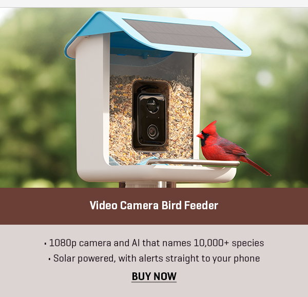 Video Camera Bird Feeder by Sharper Image