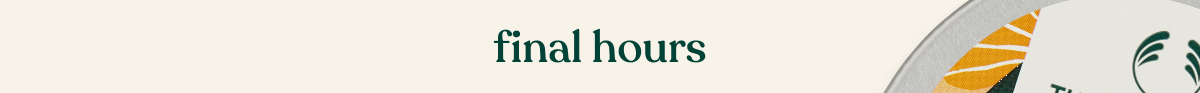 Final Hours