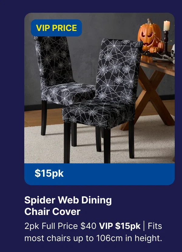 Spide Web Dining Char Cover
