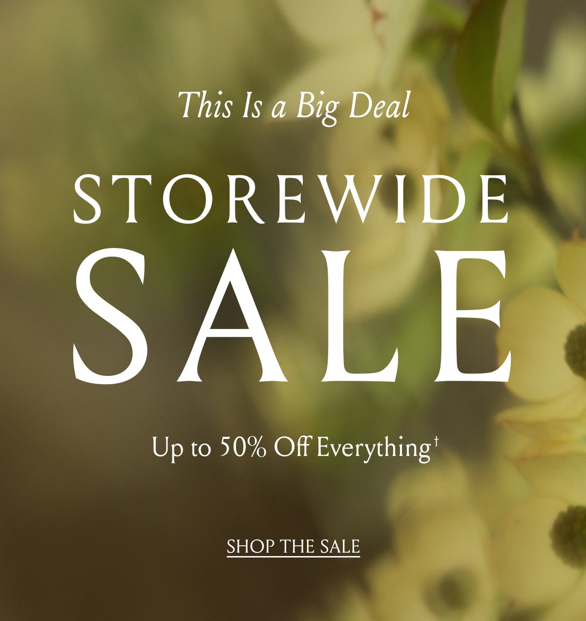 Storewide Sale - This Is A Big Deal | Shop the Sale