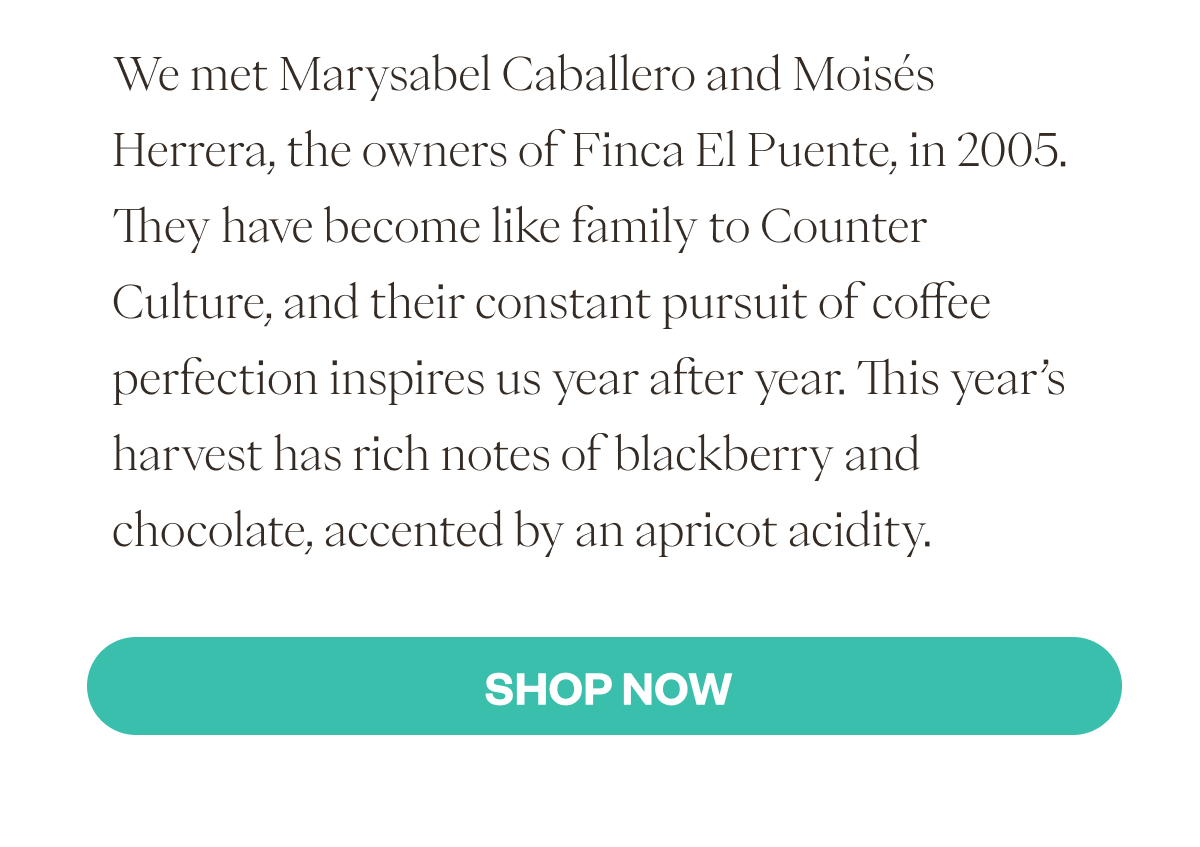 We met Marysabel Caballero and Moisés Herrera, the owners of Finca El Puente, in 2005. They have become like family to Counter Culture, and their constant pursuit of coffee perfection inspires us year after year. This year’s harvest has rich notes of blackberry and chocolate, accented by an apricot acidity.. SHOP NOW 