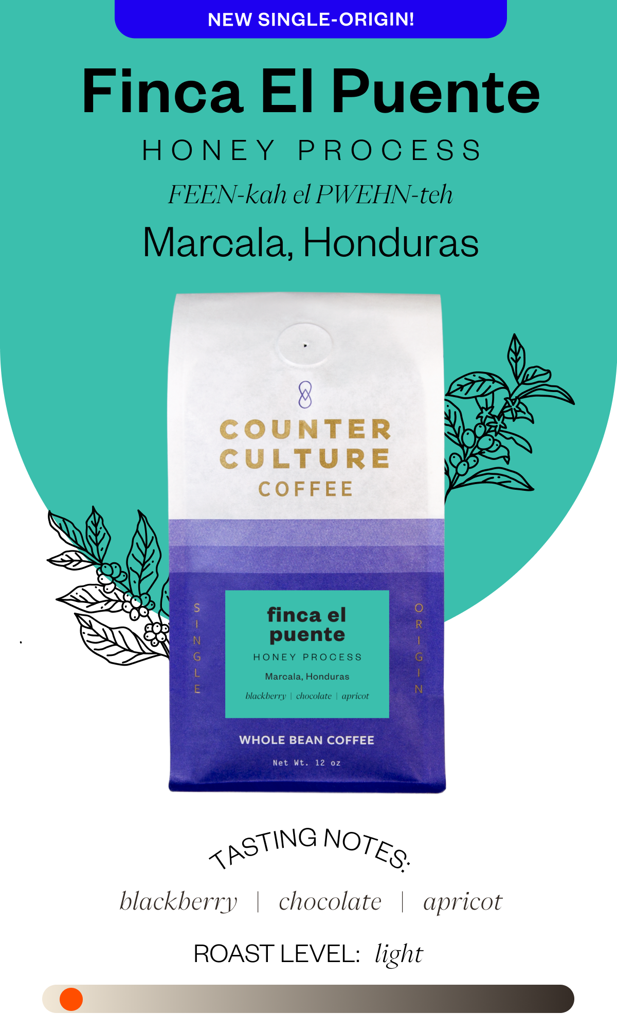 New Single - Finca El Puente Honey Process FEEN-kah el PWEHN-teh Marcala, Honduras Tasting notes: blackberry chocolate apricot Roast level: Light 