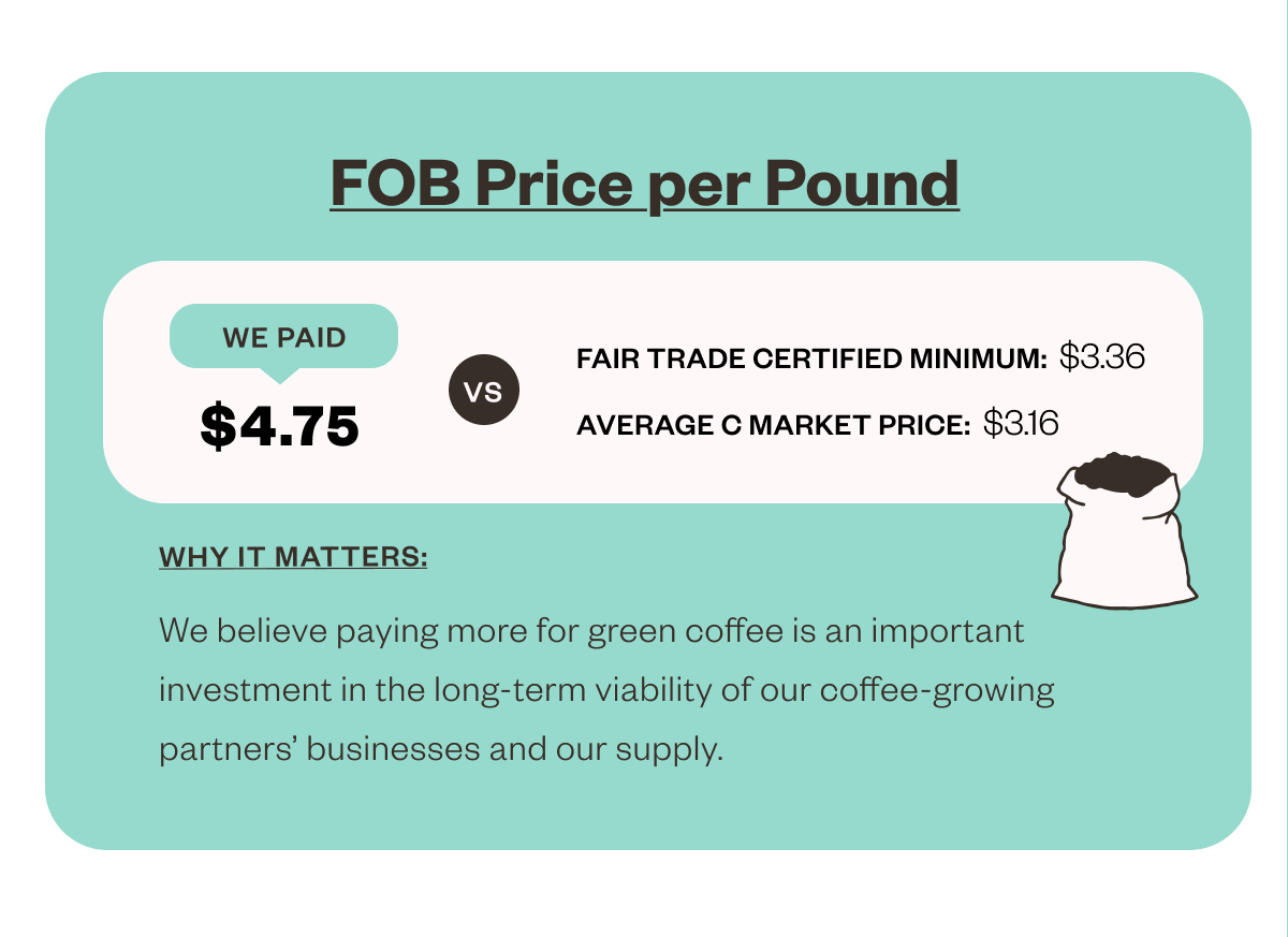 FOB Price per Pound We paid $4.75 vs Fair Trade Certified Minimum: $3.36 average c market price: $3.16 Why it matters We believe paying more for green coffee is an important investment in the long-term viability of our coffee-growing partners' businesses and our supply.