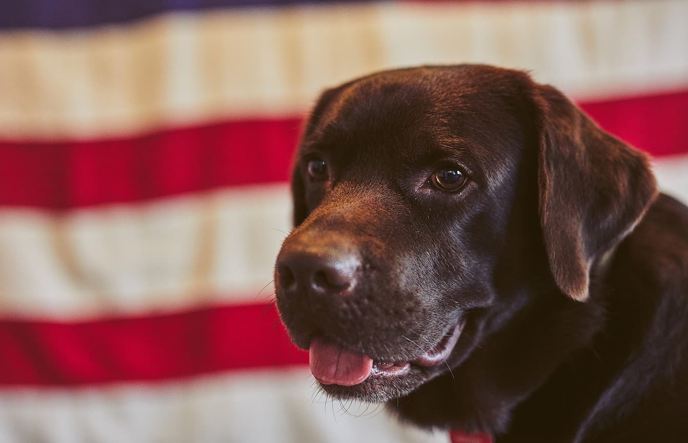 In Loving Memory, Monster, President, GORUCK Nation