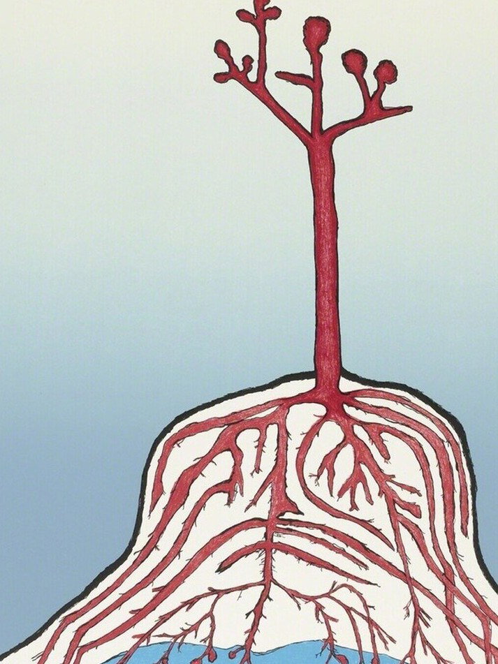 Louise Bourgeois