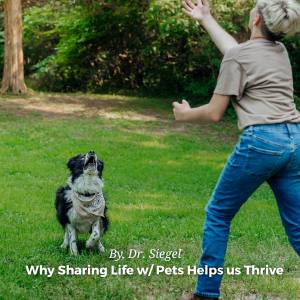 Why Sharing Life with Pets Helps us Thrive