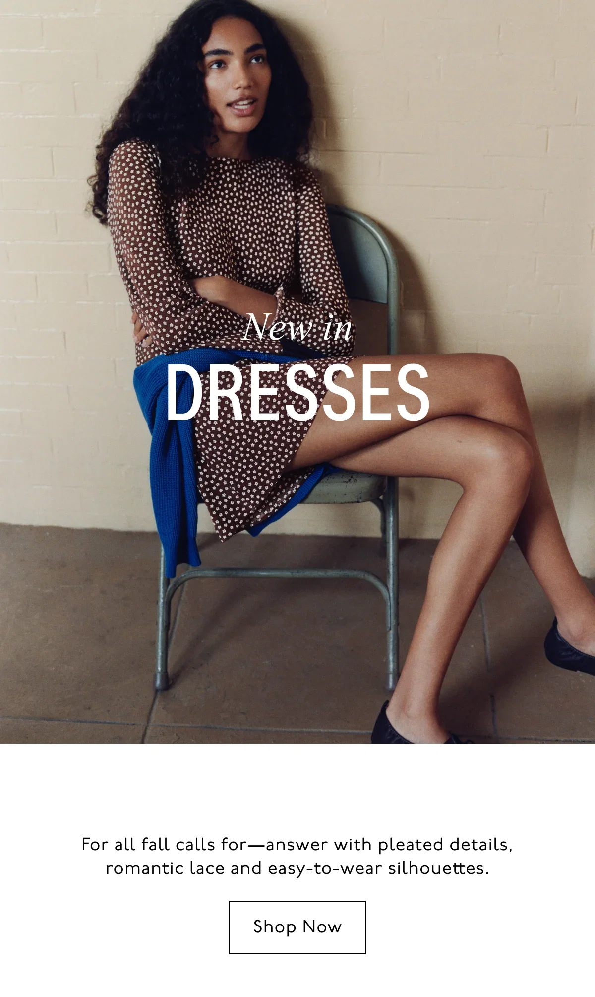 New in Dresses. For all fall calls for - answer with pleated details, romantic lace and easy-to-wear silhouettes. Shop Now.
