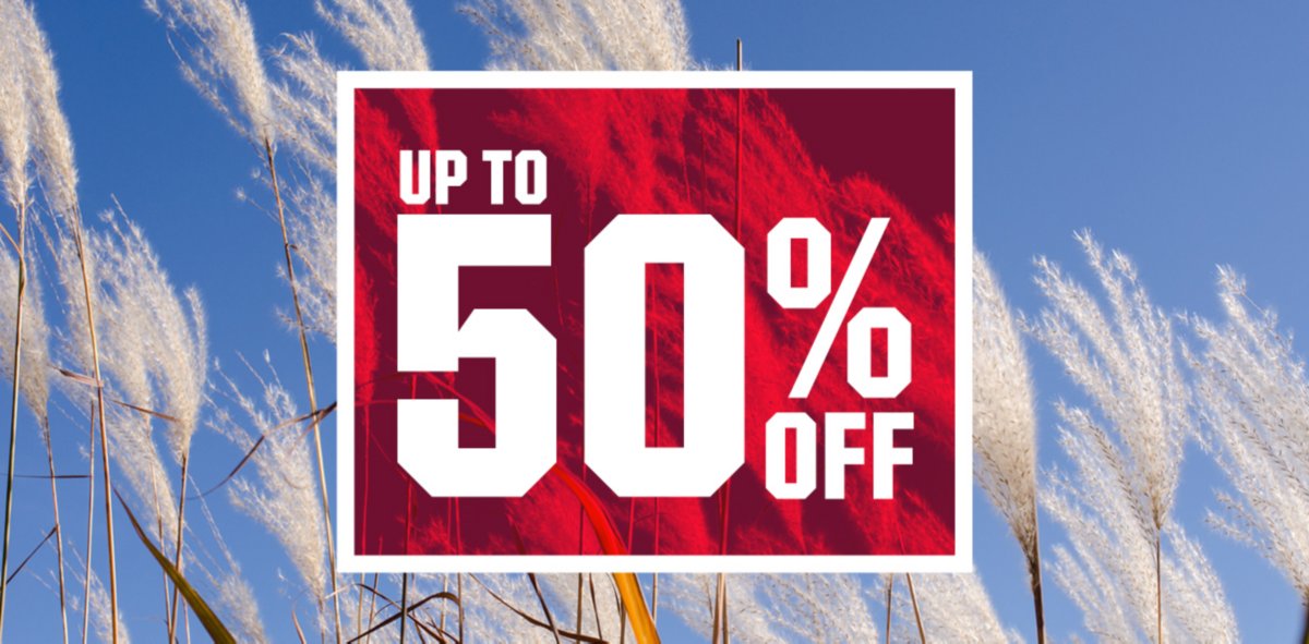 Up to 50% off.