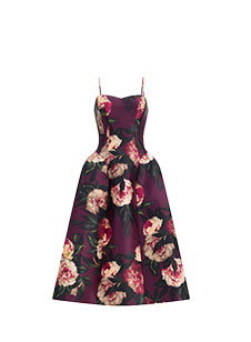 Shop Women's Dresses