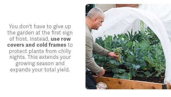 You don't have to give up the garden at the first sign of frost. Instead, use row covers and cold frames to protect plants from chilly nights. This extends your growing season and expands your total yield.