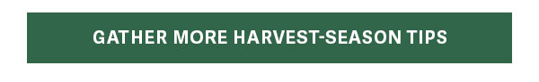 Gather More Harvest-Season Tips