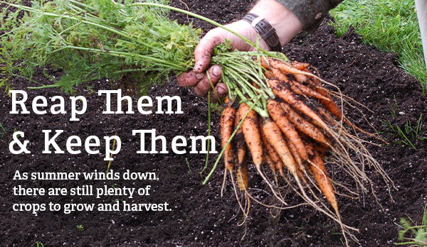 Reap Them & Keep Them - As summer winds down, there are still plenty of crops to grow and harvest. 