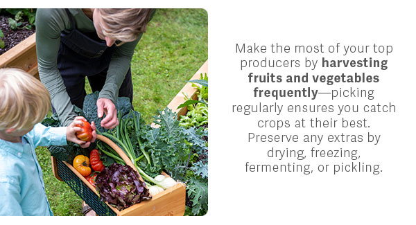 Make the most of your top producers by harvesting fruits and vegetables frequently—picking regularly ensures you catch crops at their best. Preserve any extras by drying, freezing, fermenting, or pickling.