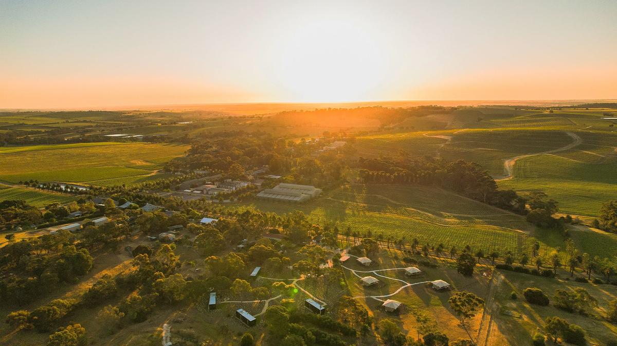 Barossa Valley Eco-Cabins Steps from Seppeltsfield Winery with Private Sauna & Breakfast Hamper