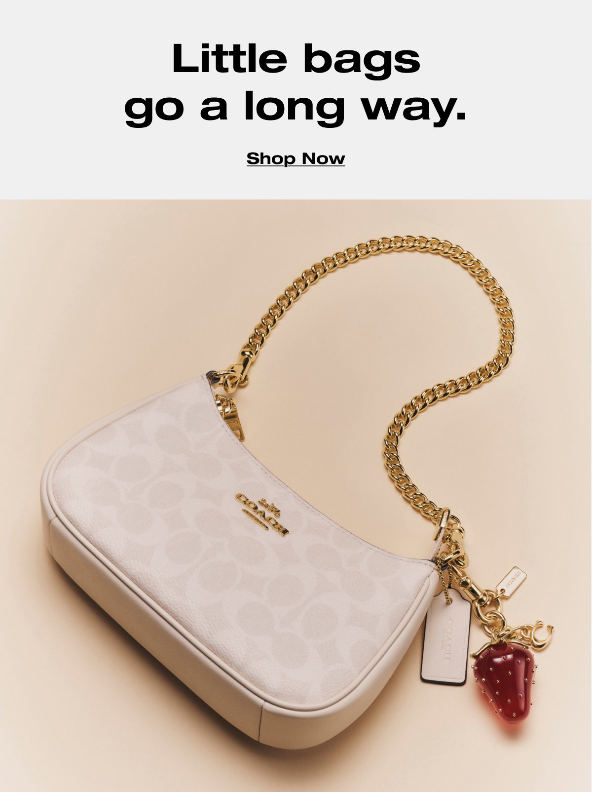 Little bags go a long way. Shop Now